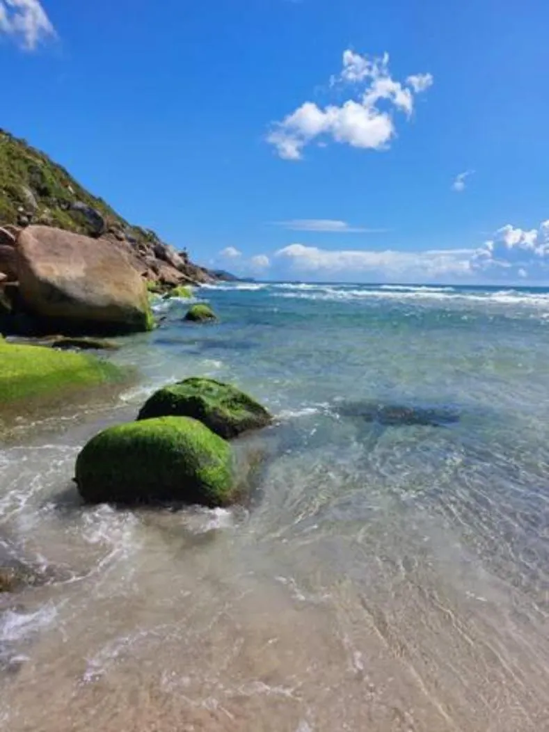 Apartment Apartamento Ingleses Norte Florianopolis Brazil